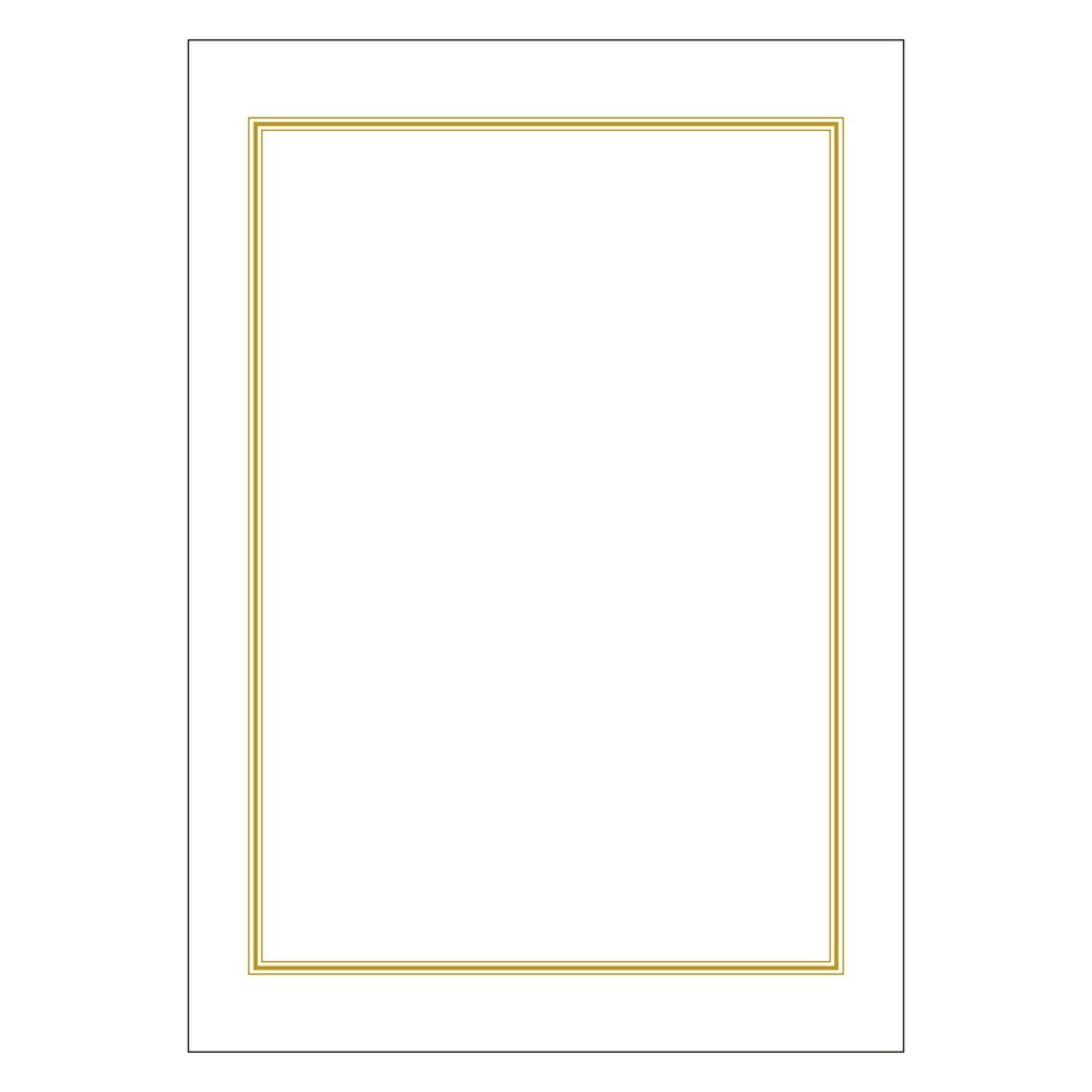 （まとめ買い）ササガワ タカ印 プリンタ対応 OA辞令用紙 三重枠 A4 100枚箱入 9-402 [x3]