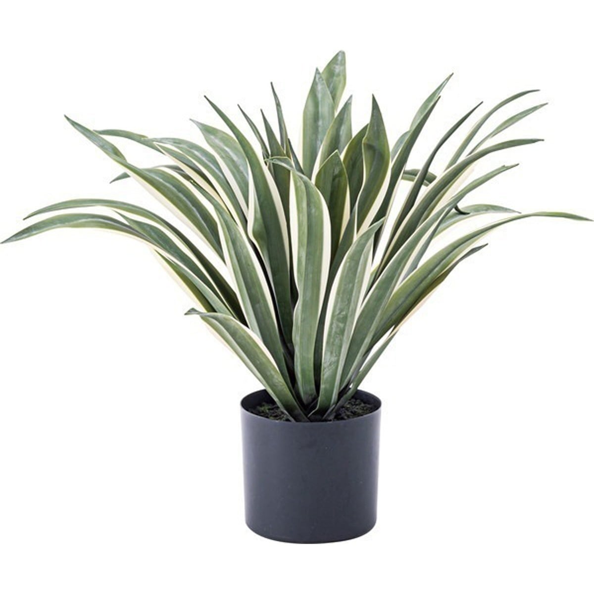 フェイクグリーン アガベ ポリ塩化ビニル 合成樹脂 GRN-13