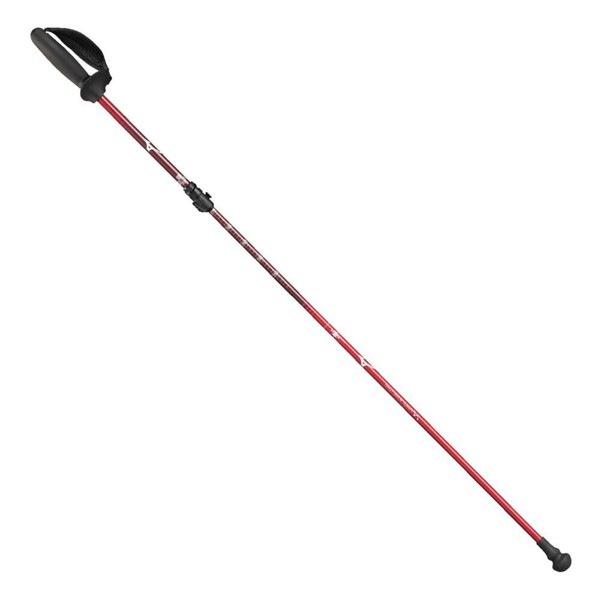 MIZUNO ミズノ 折りたたみウォーキングポール SH 2本1組 ポール メンズ C3JTPC3062