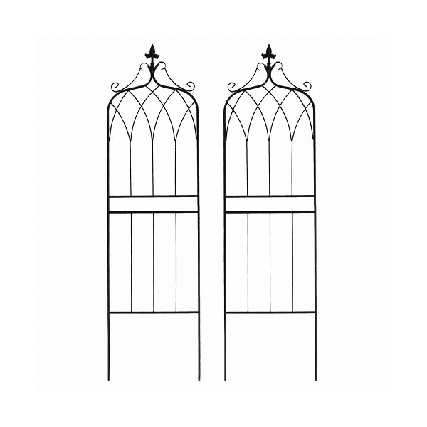 住まいスタイル アイアンフェンス ドレープ ロータイプ 2枚組 ブラック IF-DR028-2P-BLK メーカー直送