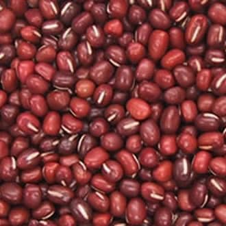 とよみ大納言 小豆 2等 30kg （国内産　北海道ほか） 27,558円