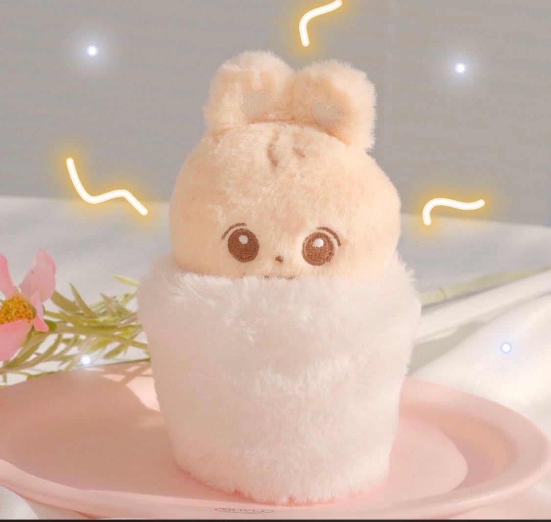 SEVENTEEN　 ジョンハン ぬいぐるみ 10ｃｍ ペンカフェ マスターニム 정한 YoonJeongHan 윤정한 尹淨漢