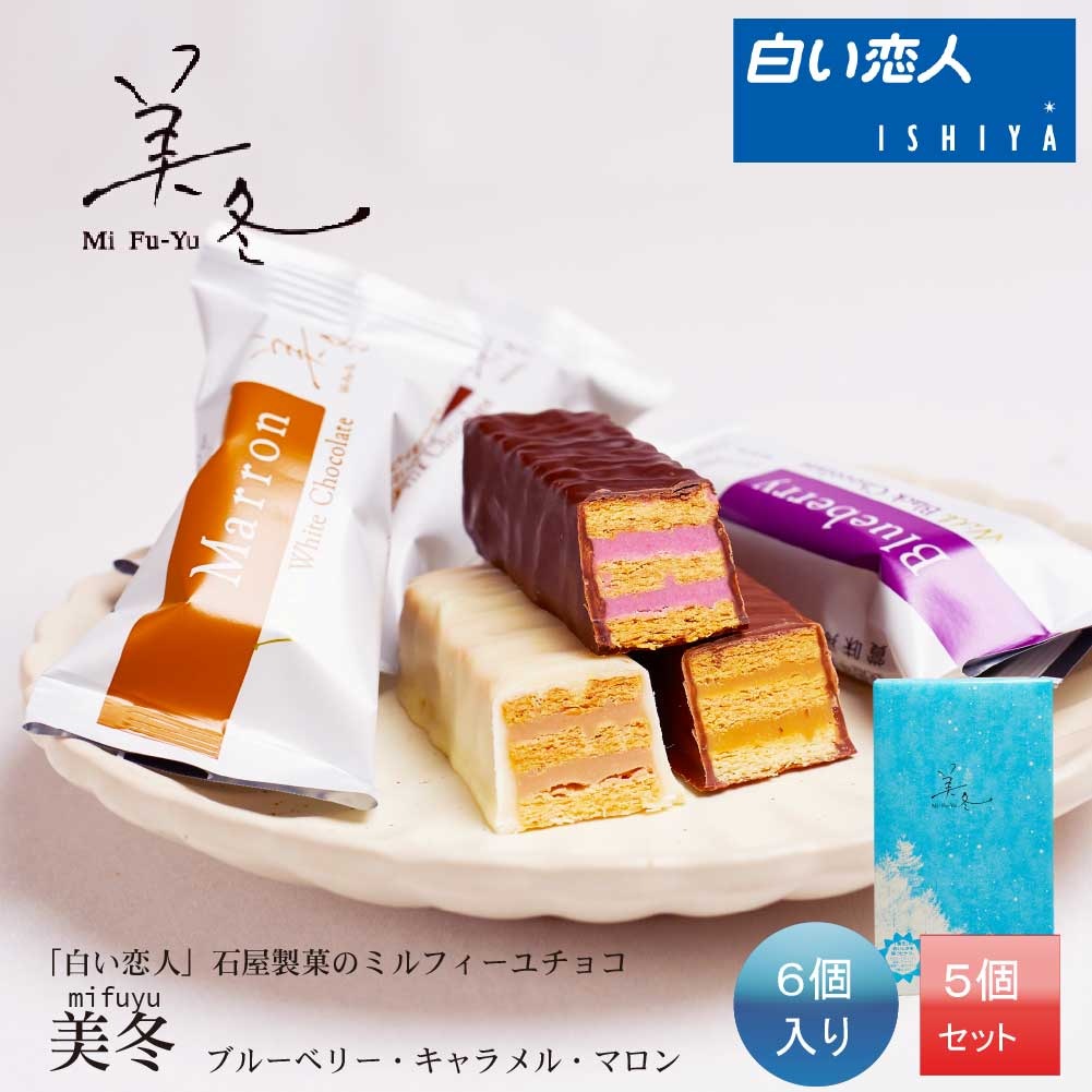 石屋製菓 美冬 (ブルーベリーキャラメルマロン)6個入x5個セット 送料込 北海