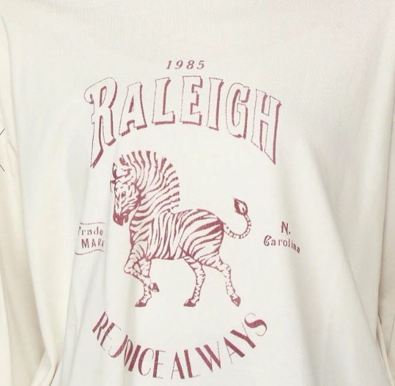 購入専用 15,120円