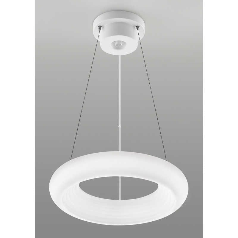 東芝　TOSHIBA　LEDペンダントライト [12畳 昼光色～電球色 リモコン付属]　NLEP12000A-LC