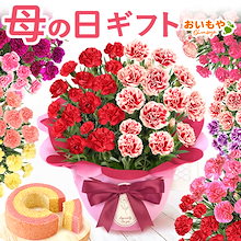 母の日 2色 カーネーション 5号 バウムクーヘン 母の日のプレゼント 母の日ギフト ギフト プレゼント 花 生花 鉢植え スイーツ お菓子 洋菓子 バウム 食べ物 おしゃれ