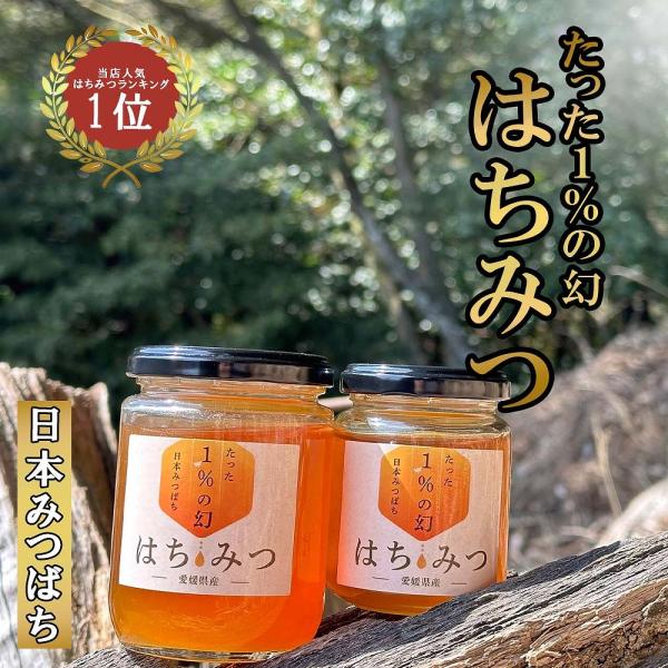 国産蜂蜜 はちみつ 日本ミツバチ 600ｇプレゼント 百花蜂蜜 産地直送 お祝い 内祝い グルメ 母の日 国産 健康 美味しい おすすめ ポイント利用