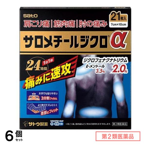 第２類医薬品 サロメチールジクロα 21枚 6個セット