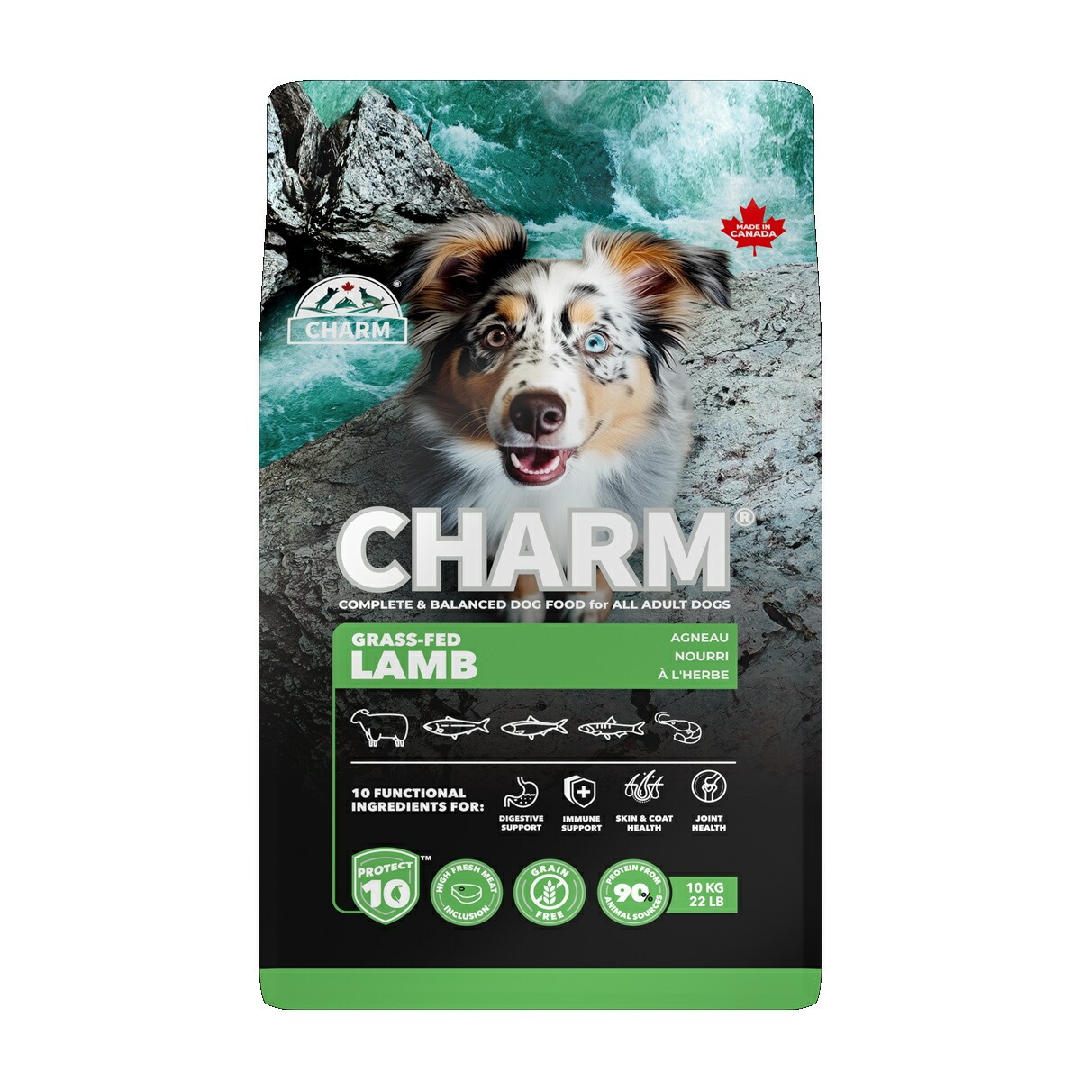 CHARM　チャーム　グラスフェッドラムドッグフード　10kg【ドッグフード】【正規品】