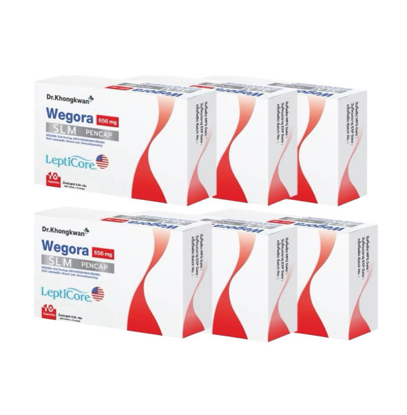 ウェゴラ　10カプセル入り　6箱セット　食欲コントロール・脂肪燃焼　WEGORA SLM PenCap