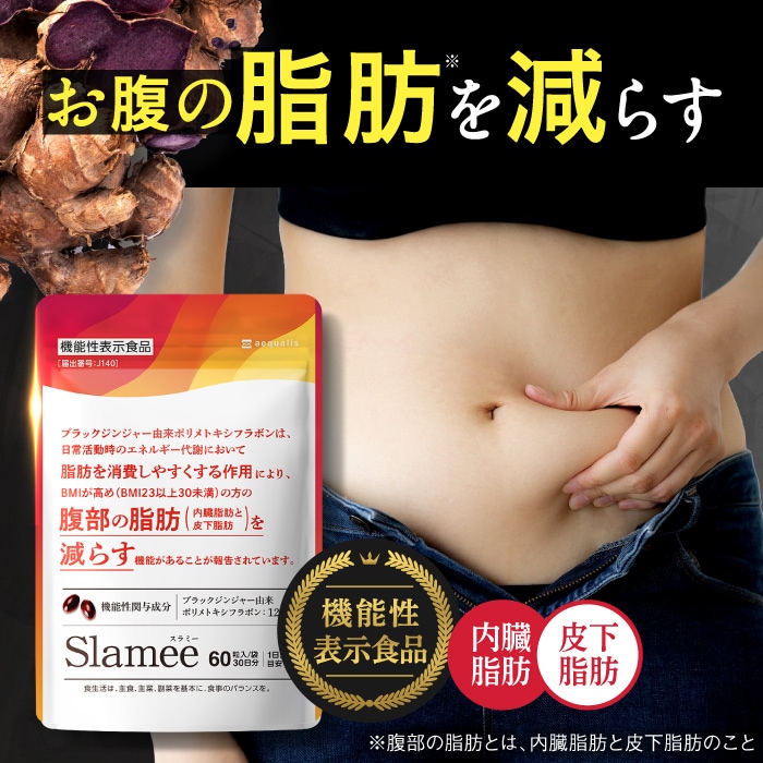 Qoo10] aequalis スラミー Slamee お腹の脂肪を減ら : ダイエット