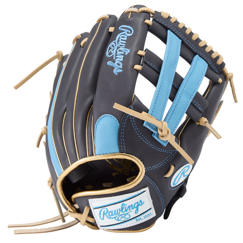 ソフト HOH DP S65 N/SX レディースソフト用グラブ グローブ 25SS GS5HDS65