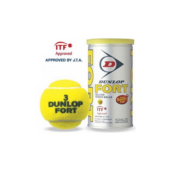 DUNLOP FORT イエローテニスボール 2個入り　✖️24個 ダンロップ FORT-2P フォート 硬式テニスボール 2球入 1缶