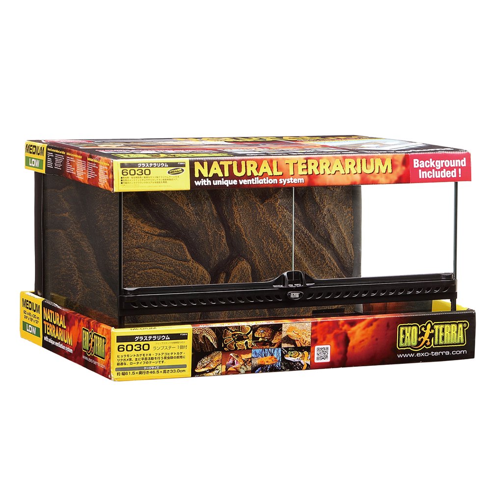 爬虫類ケージ　ＧＥＸ　エキゾテラ　グラステラリウム　６０３０　爬虫類　トカゲ　リクガメ　ケージ　お一人様１点限り　１８０サイズ　ＣＲＣ17―15―05―60―00