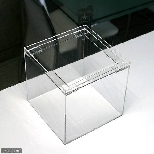 水槽　アクリル水槽（サイズ：２００X２００X２００ｍｍ　板厚：４X４X４ｍｍ）　フランジ　２０ｃｍ水槽　ＣＲＣ10―11―04―10―00