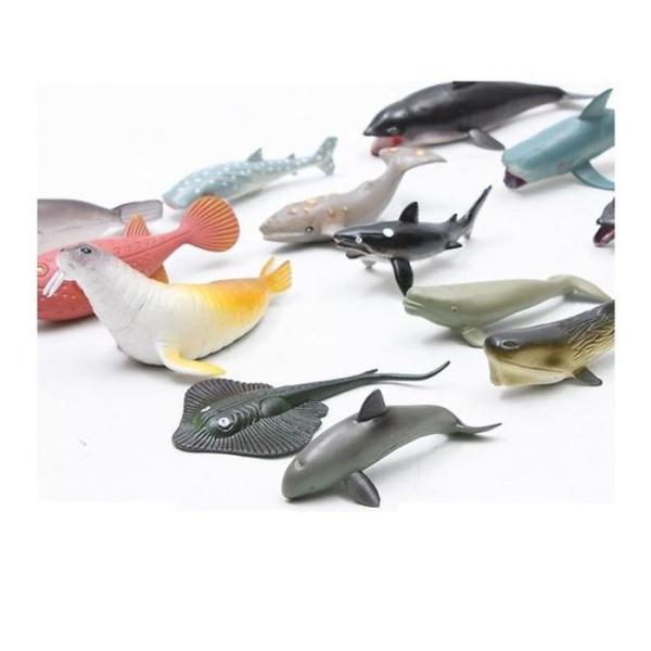 RG1Q6520 海 動物 模型玩具 フィギュア 14個 保育園