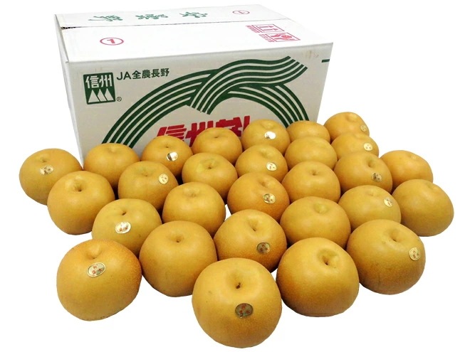 =豊水梨= 秀品 2L-4L 24-32玉 約10kg 産地厳選 予約 8月中下旬以降