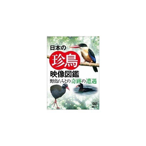 シンフォレストDVD 最大63%OFFクーポン 日本の珍鳥映像図鑑 安全 野鳥たちとの奇跡の遭遇