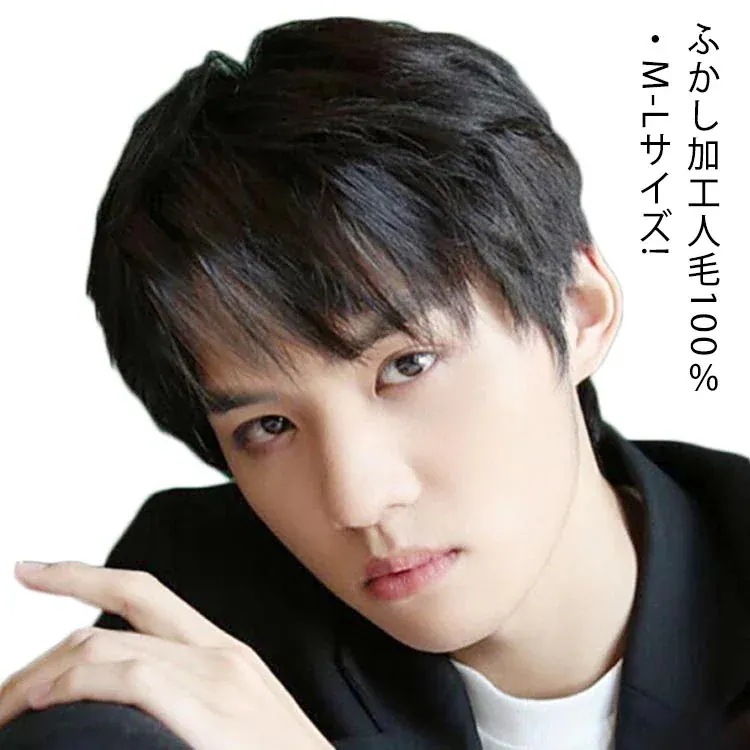 人毛100％! メンズウィッグ 男性用かつら メンズウイッグ 医療用ウィッグ ウィッグ メンズ ショート フルウィッグ 自然 黒髪 かつら フェザーショート スタンダードブラック ナチュラル 薄毛