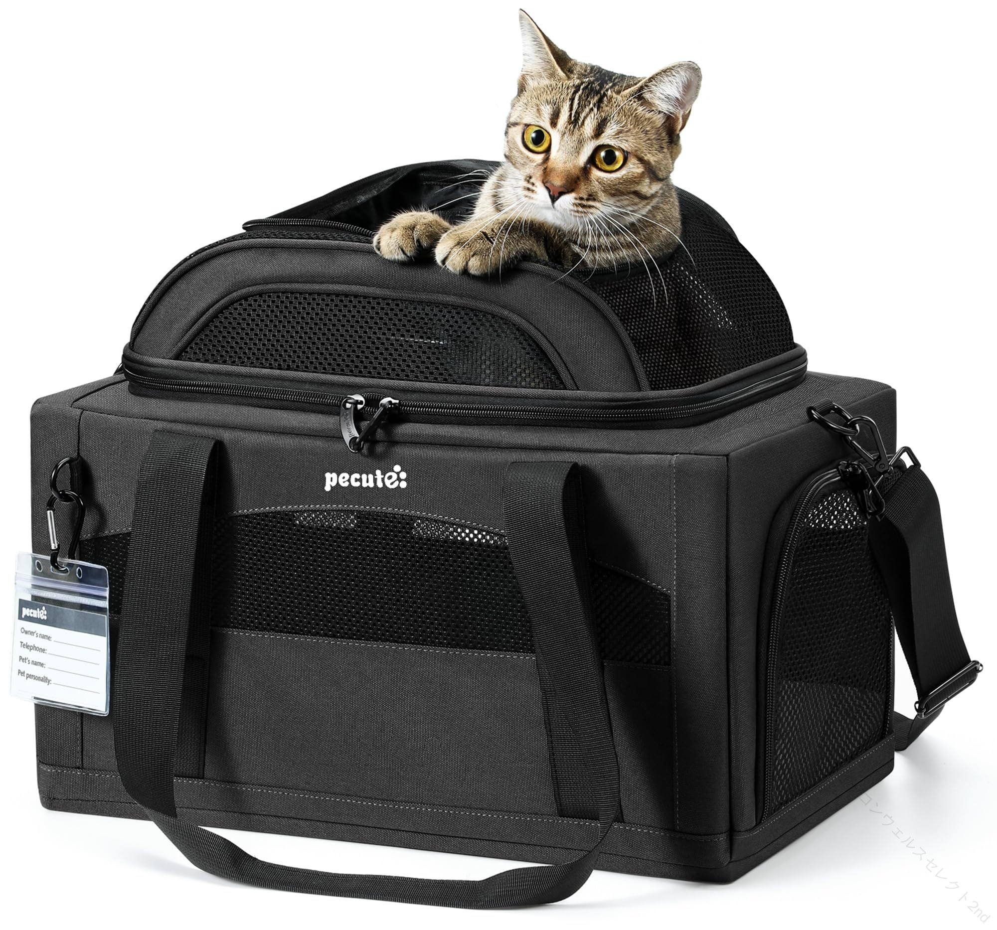 【新商品発売】猫 キャリー バッグ 上部拡張 折りたたみ ペットキャリー 小型犬用 飛び出し防止 軽量 通気性メッシュ 安定感 収納便利 お出かけ