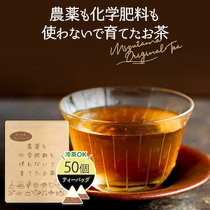 化学肥料等も使わないで育てたお茶 ほうじ茶 ティーバッグ 2.5gｘ50p お茶 ほうじ茶 ティーパック 国産 静岡県産 牧之原 メール便