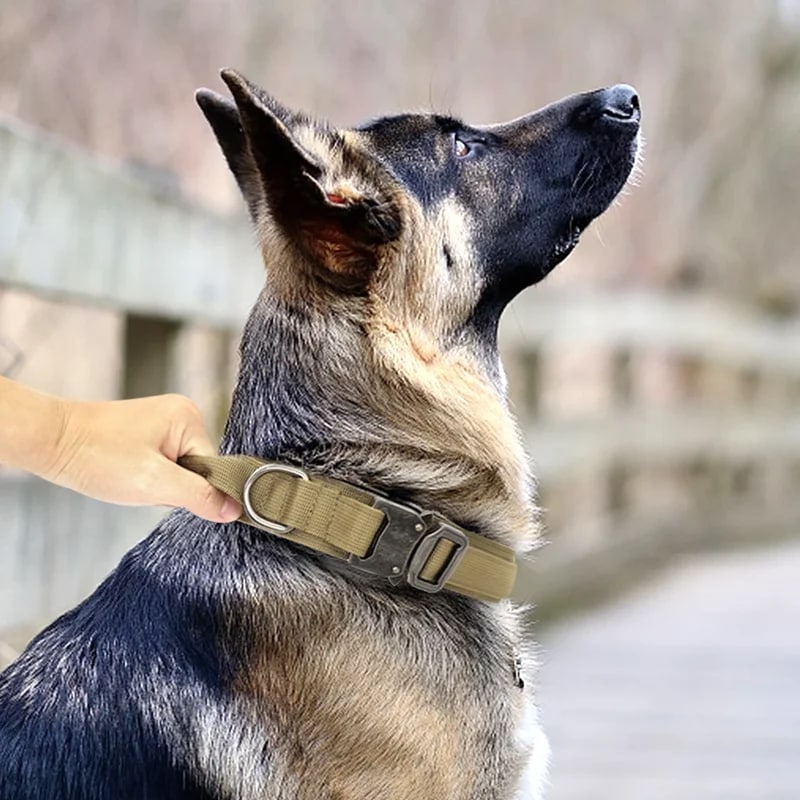 丈夫で耐久性のある戦術的な犬の首輪中と大きな犬のためのリーシュジャーマンシェパードベルマンのための警察の犬の襟