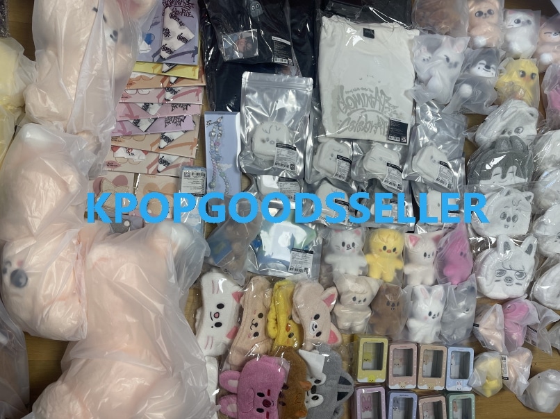 【ON HAND】 Stray Kids World Tour dominATE : celebrATE POP-UP STORE OFFICIAL MD [B]