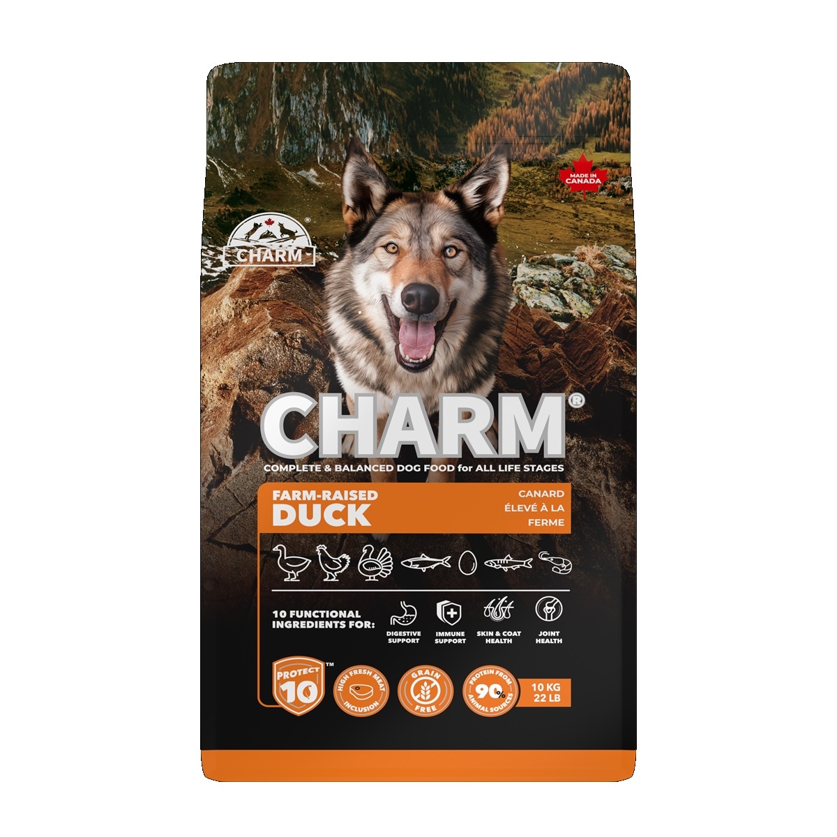 【賞味期限2026年12月12日】CHARM　チャーム　ファームレイズドダックドッグフード　10kg【ドッグフード】【正規品】