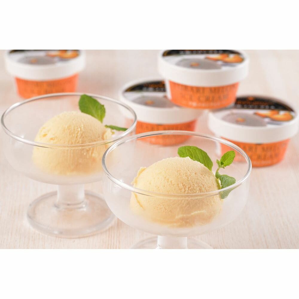 （グルメギフト）北海道 夕張メロンアイス 13個