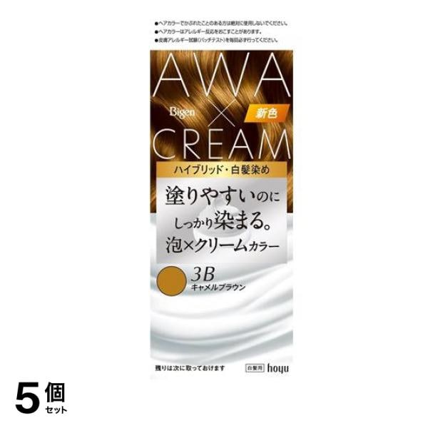 泡クリームカラー 白髪用 3Bキャメルブラウン 1組入 5個セット