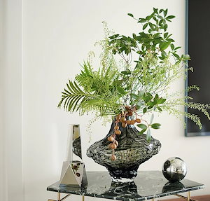 花苗 厳選クリスマスローズBセット 3種3株 / 国華園 25年秋商品 楽天