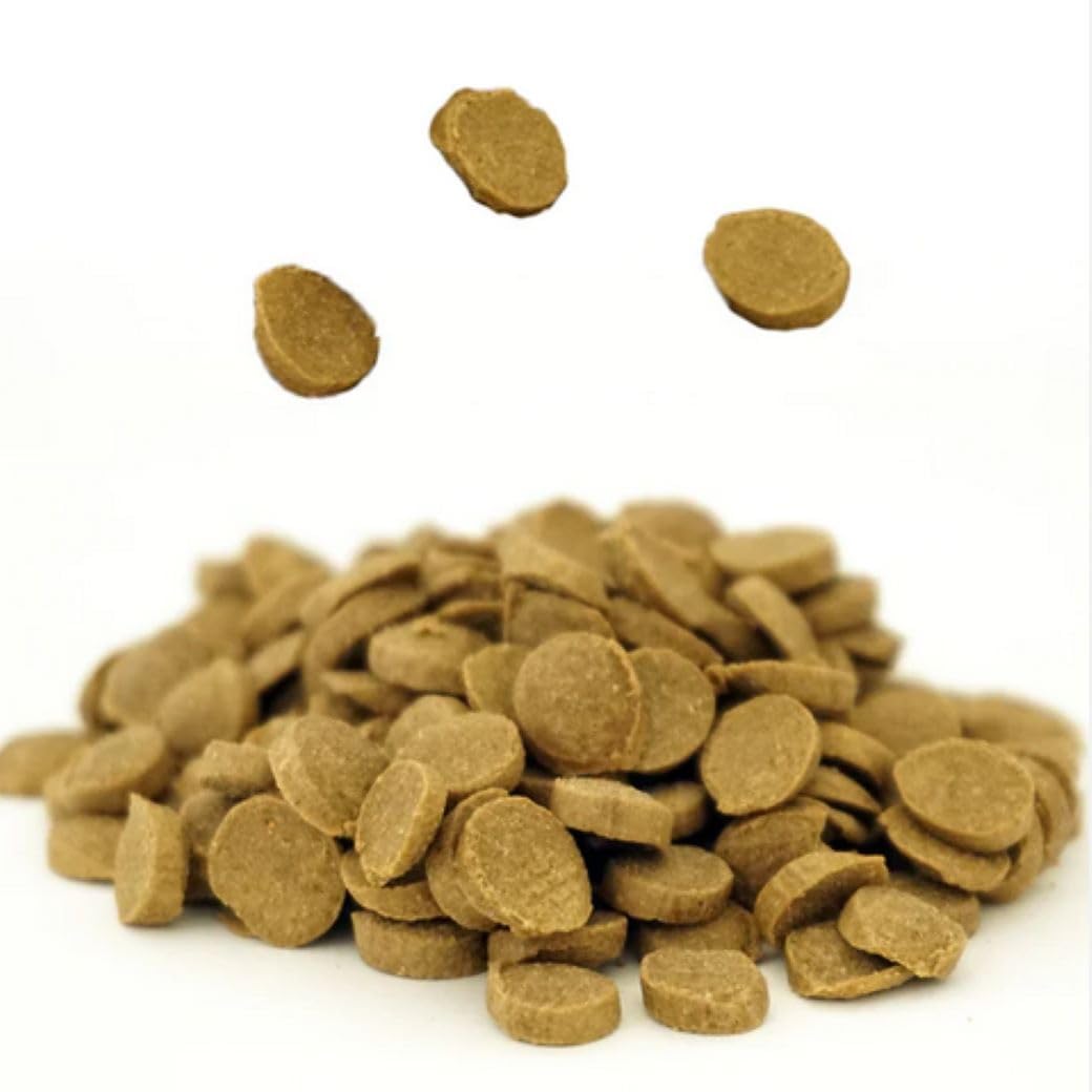 国産 ドッグフードスマイリー(Smiley) 国産まぐろ Deli 1.5kg犬想いオリジナルセットデビフ15g缶詰 1缶プレゼント