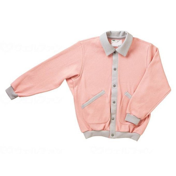 くだものの静止画 藤澤宗人作