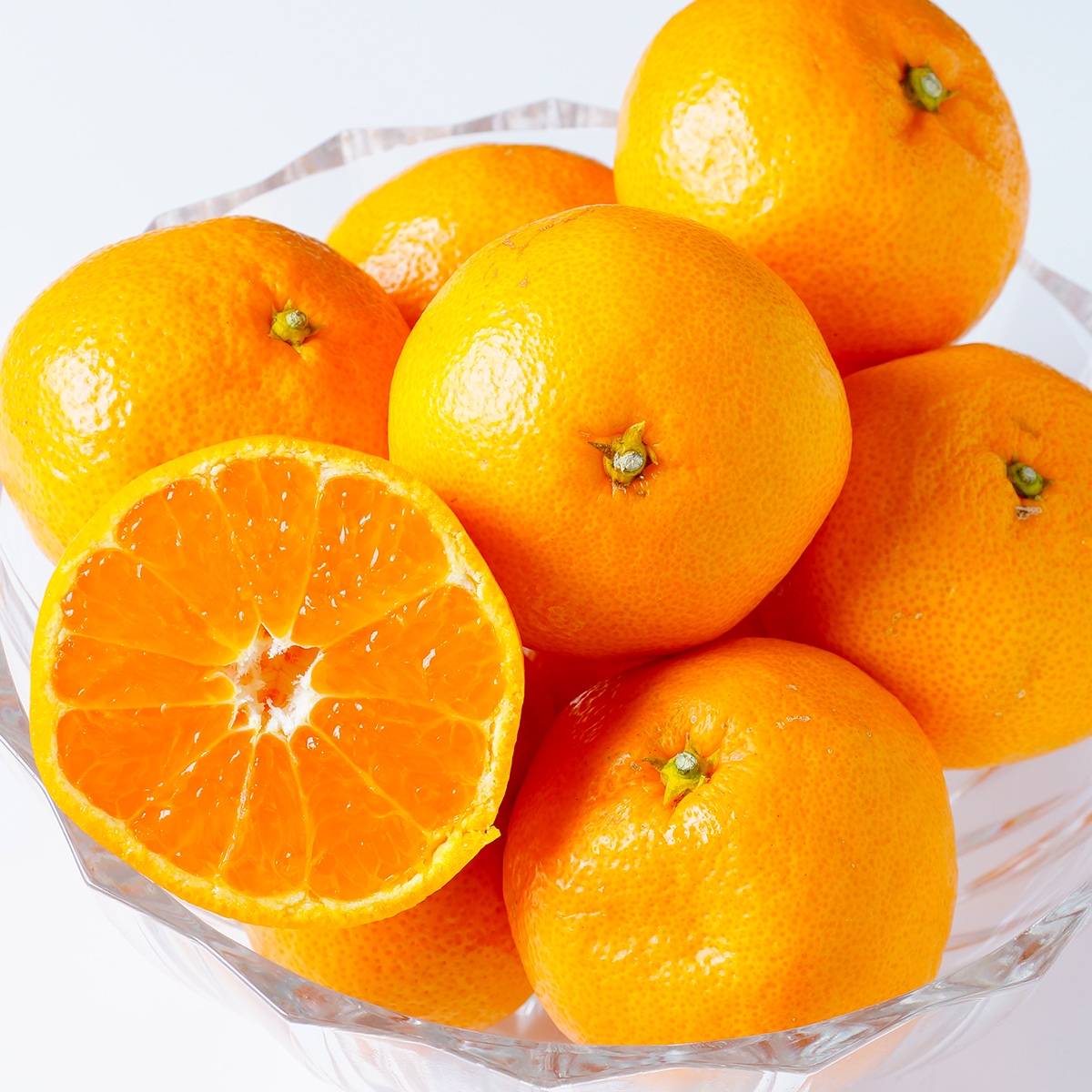 美味いとこどり みかん 和歌山県産 赤秀 有田ミカン 産地直送 フルーツマイスターが選別 10kg 7,022円