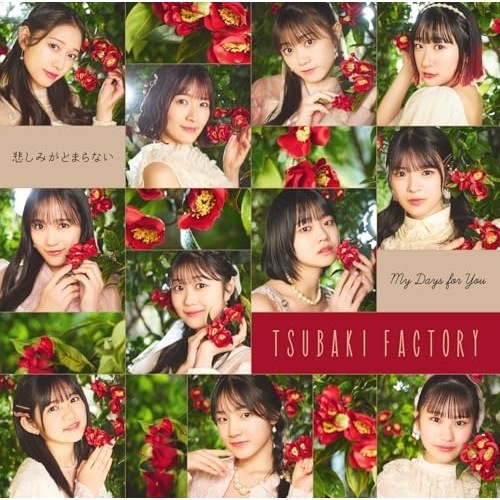 CD / つばきファクトリー / My Days for You/悲しみがとまらない (CD+Blu-ray) (初回生産限定盤SP)