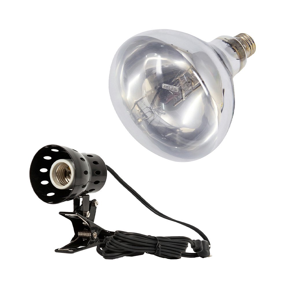 三晃商会　ＲＥＰＴＩＺＯＯ　スーパーサンＵＶ　１２５Ｗ　＋　クリップランプスタンド　爬虫類　紫外線　ＣＲＣ17―41―10―20―70