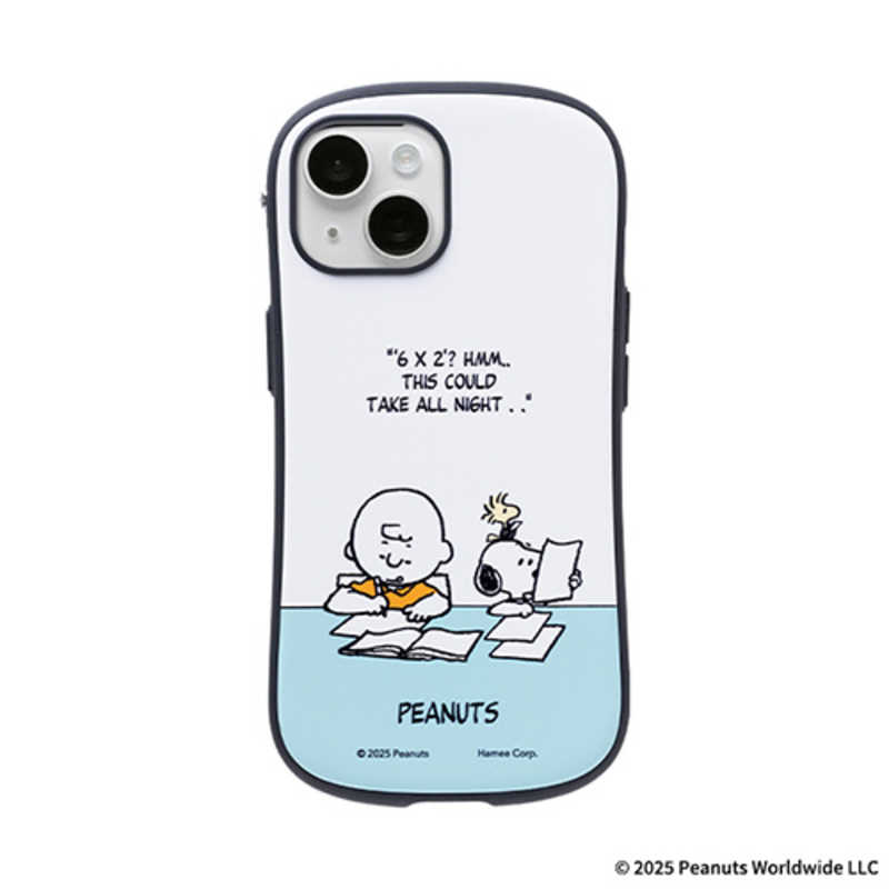 IP1513IFACEPNTWHCB