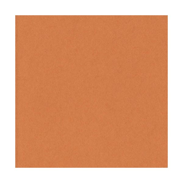 （まとめ）リンテック ニューカラーR 八つ切 おうどいろ 8NCR-210 100枚[x3]