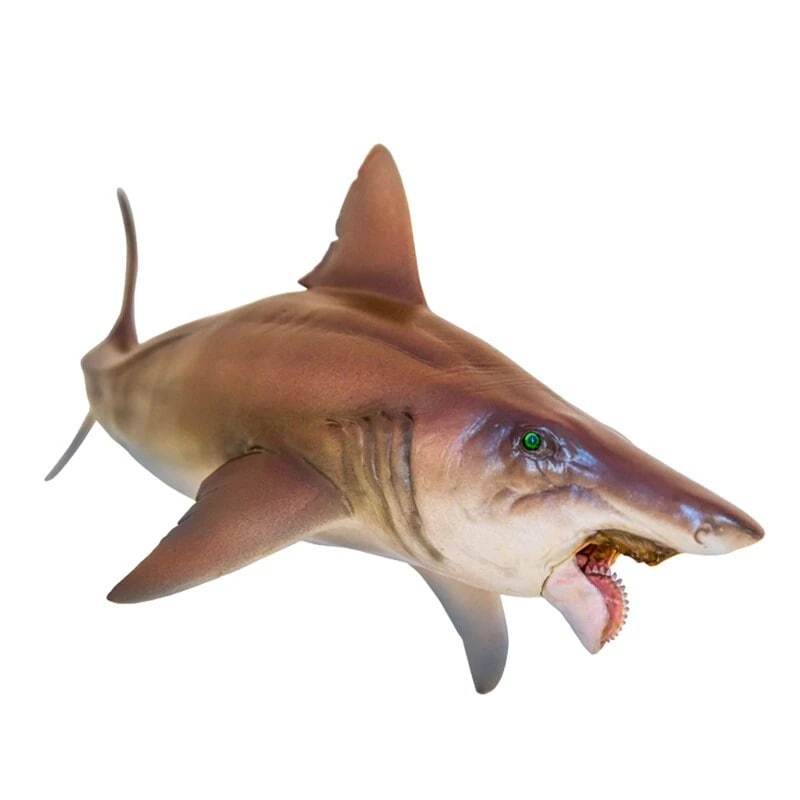 PNSO 成長シリーズ ヘリコプリオン 魚類 動物 フィギュア プラモデル おもちゃ 模型 リアル PVC 誕生日 プレゼント オリジナル 塗装済 完成品 21cm級