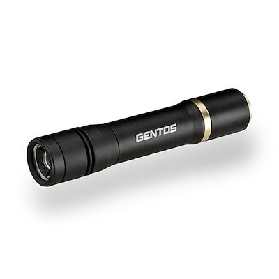 他サイト： LEDライト　USB充電式　RX-486PBの商品画像