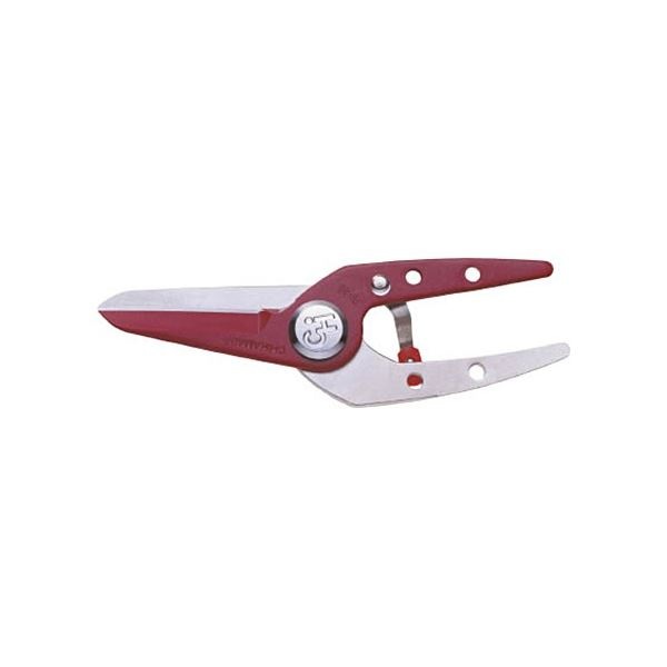 （まとめ）近正（チカマサ） TS-66用替刃 TS-66-K 1枚 [x3セット]