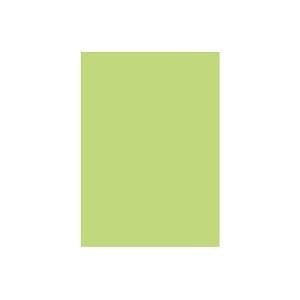 (業務用2セット) 北越製紙 カラーペーパー/リサイクルコピー用紙 B5 500枚5冊 日本製 グリーン(緑)