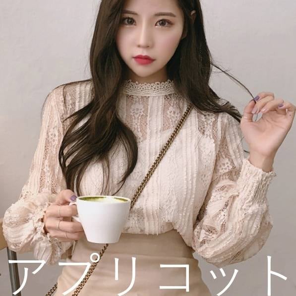 ブラウス トップス レディース 長袖 春 花柄 刺繍 ホワイト ピンク アプリコット 3色展開 フリルネック 透け 休日 お出かけ デート コーデ 普段使い 着回し ファッション エレガント お洒落