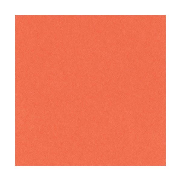 （まとめ）リンテック ニューカラーR 八つ切 だいだい 8NCR-213 100枚[x3]