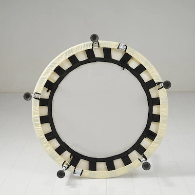 パワーブロック ダンベル 可変式ダンベル 42kg 2個セット 2393 【公式