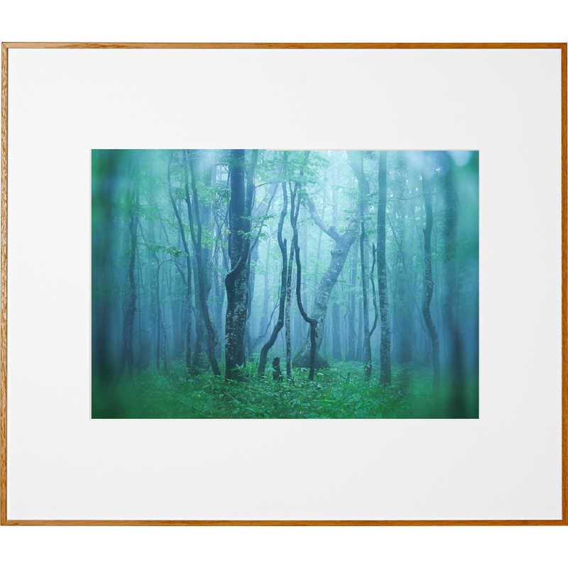 ケンコー　ギャラリー A3 ナチュラル　AGY-A3-NA