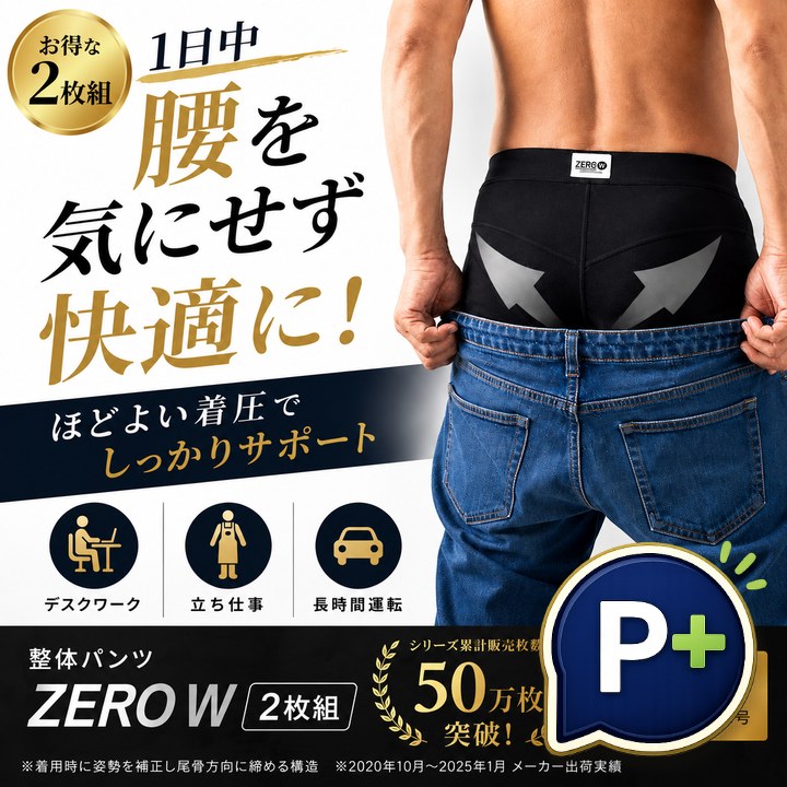 (特典あり) ポイント増量 整体パンツ ZERO W 前開き メンズ 骨盤サポート ボクサーパンツ 補整下着 姿勢サポート 腰サポート 引き締め ストレッチインナー 男性用 ブラック S M L LL