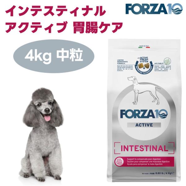 【リニューアル】 FORZA10 インテスティナルアクティブ ミディアム 中粒 胃腸ケア 1.5kg ドッグフード 犬 餌 療養食 フォルツァ10