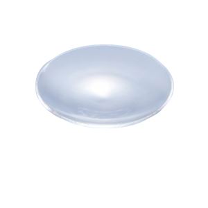 （まとめ）時計皿 50φ(×50セット)