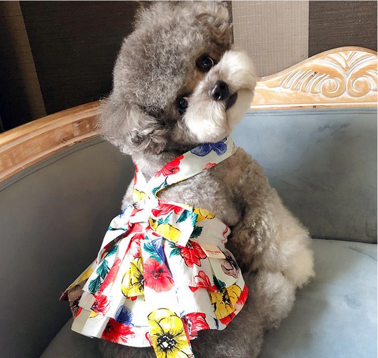独創的 人気絶頂 子犬の韓国のスカートドレスドレステディポメラニアン猫中小型犬の春と夏の薄い綿のペットの服
